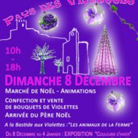 Noel au pays des violettes