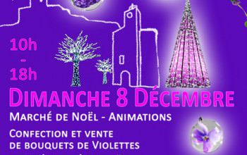 Noel au pays des violettes