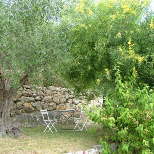 jardin Olivier maison d'hôtes Bleu Azur