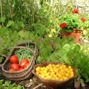 Jardin potager maison d'hôtes Bleu Azur