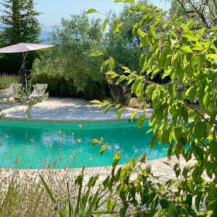 Jardin verdure maison hotes bleu Azur